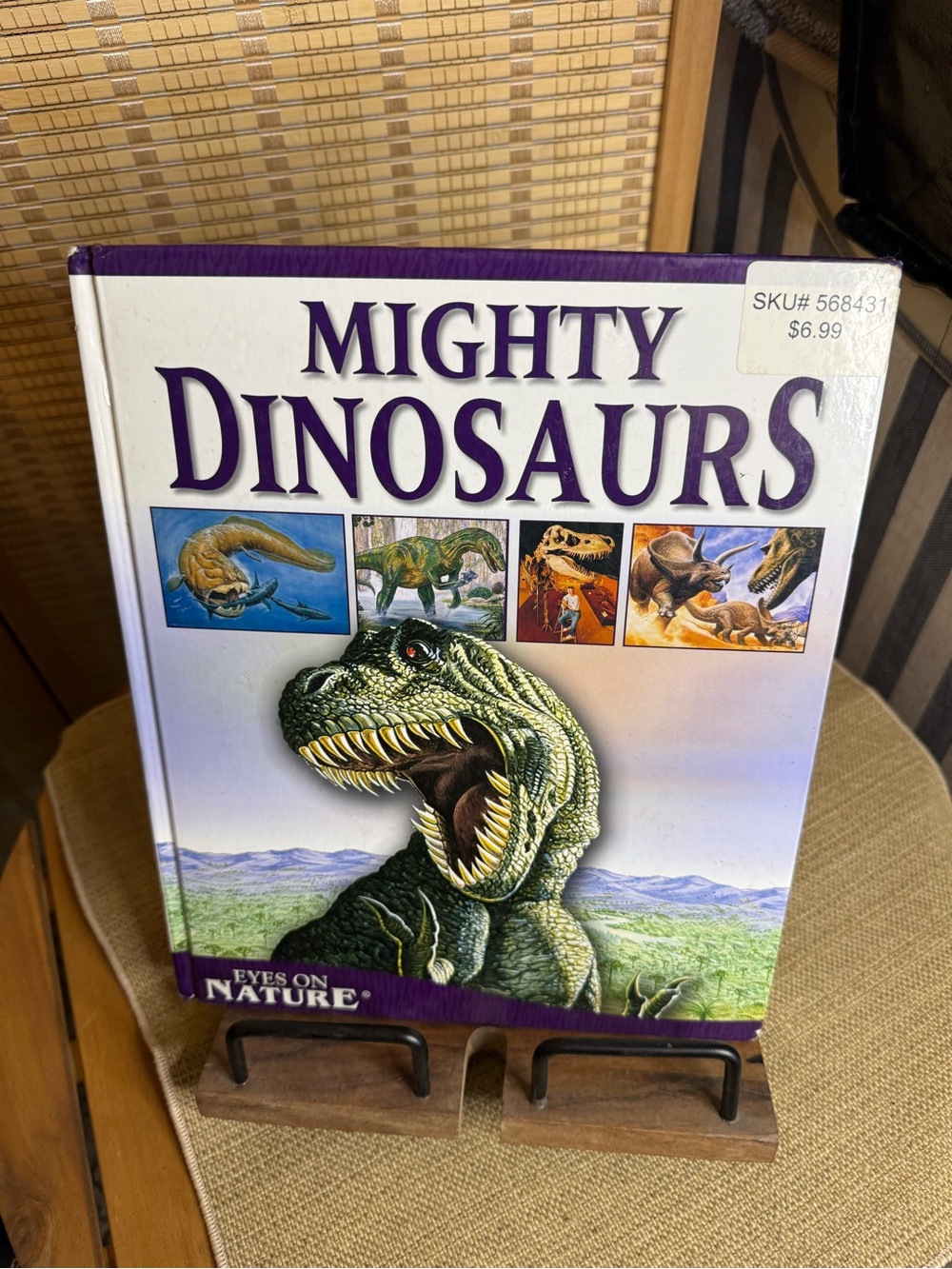 Children's Dinosaur Book - hardcover